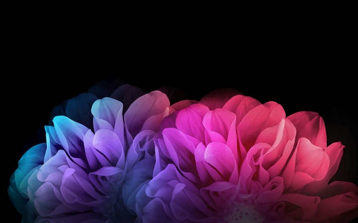 colour