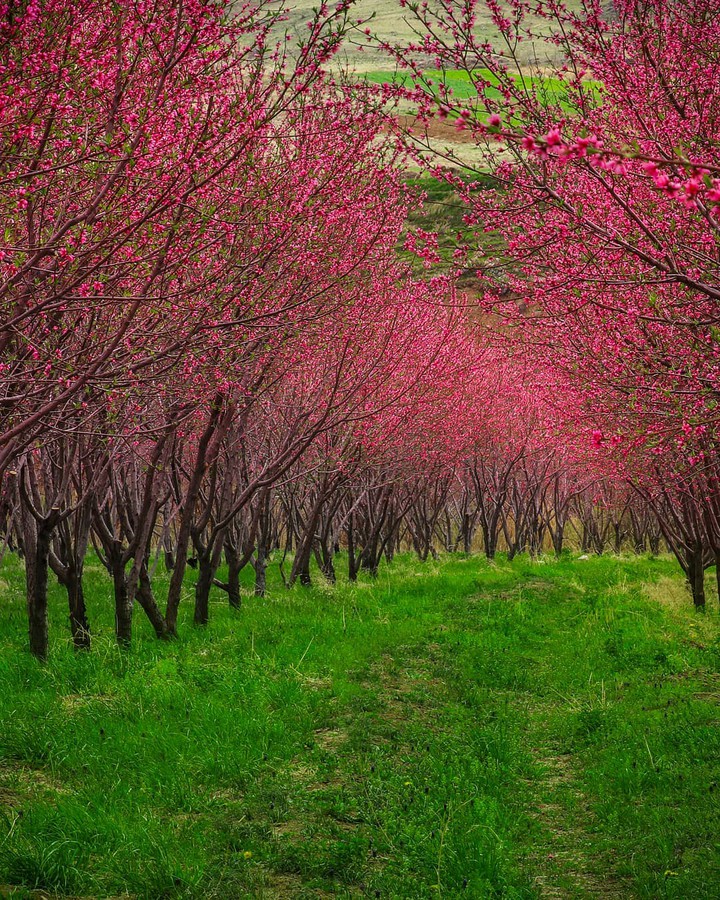 Tuyserkan Nature