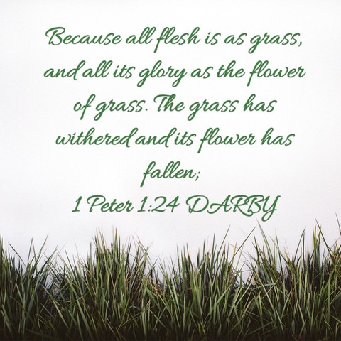 We pass on, but God's Word lives on
