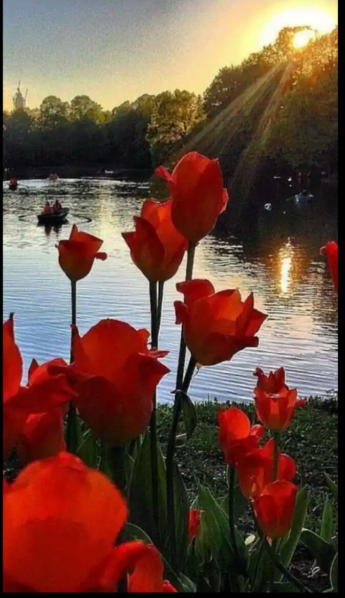 pour vous mesdames !
