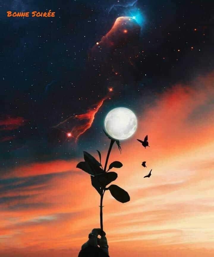 soirée