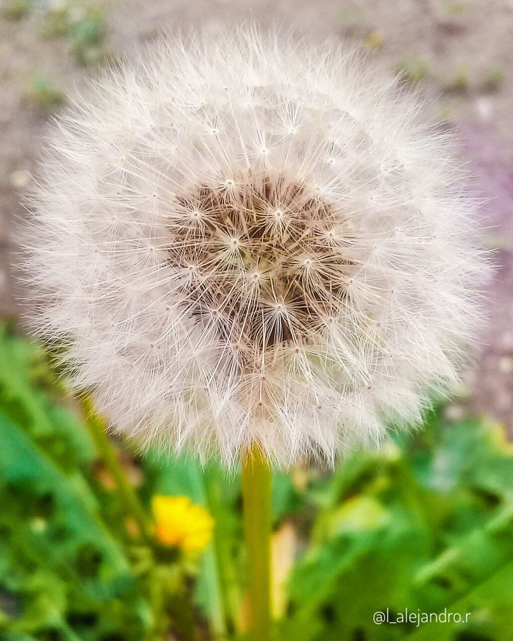 Nature