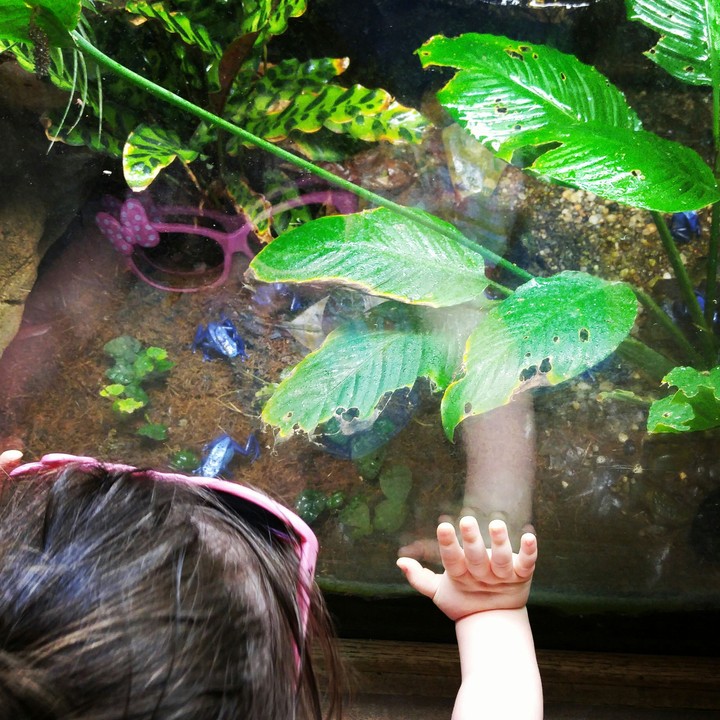 best friends daughter at the zoo