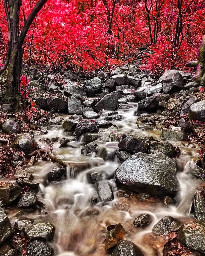 Rock & River
