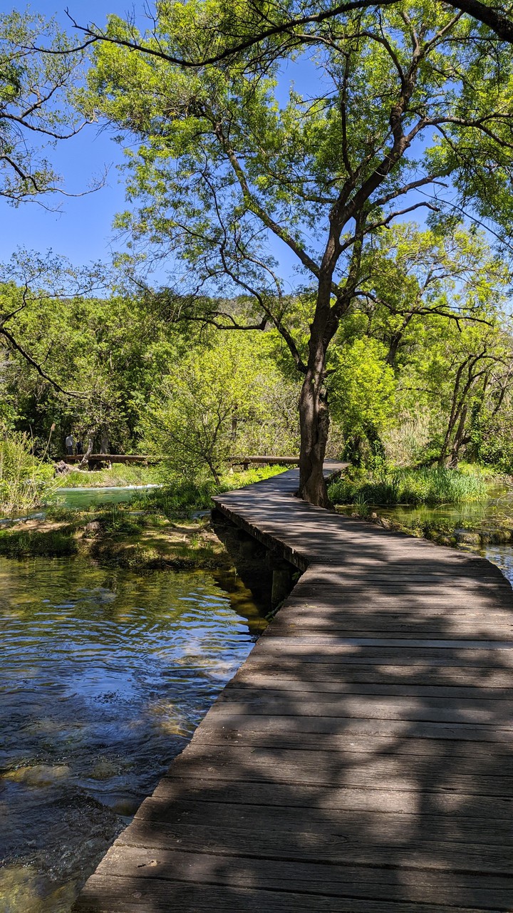 Nature life