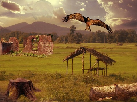 Ruins