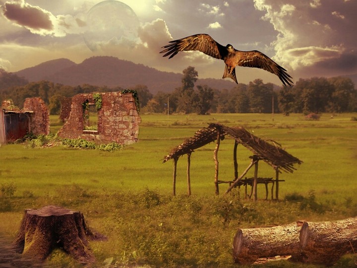 Ruins