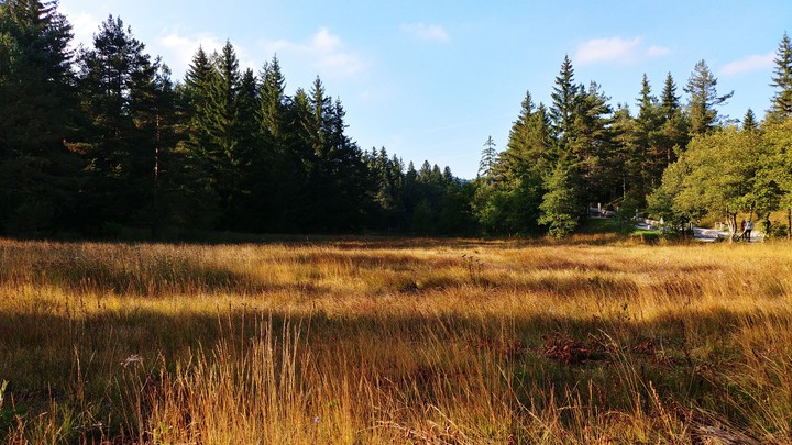 Early autumn