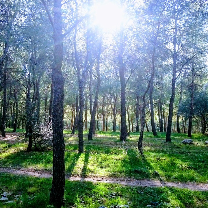 nature