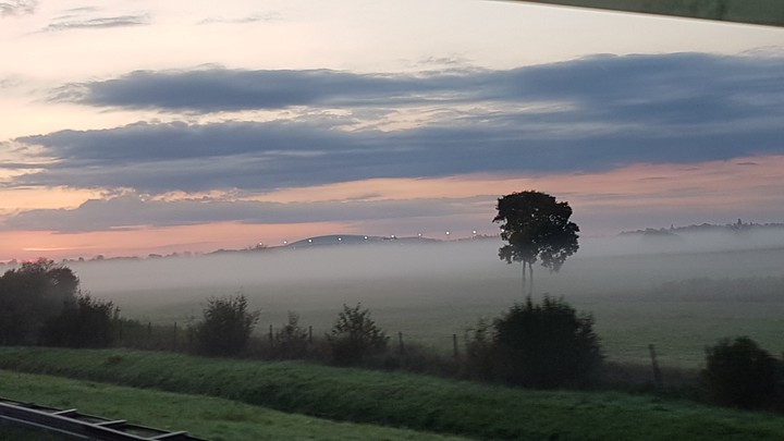 morning fog