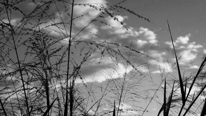 Cloudy Day.