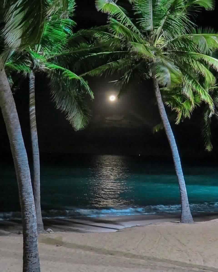 night