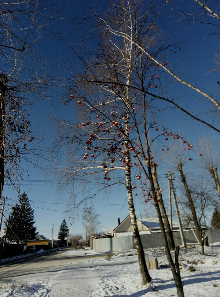 Winter has come