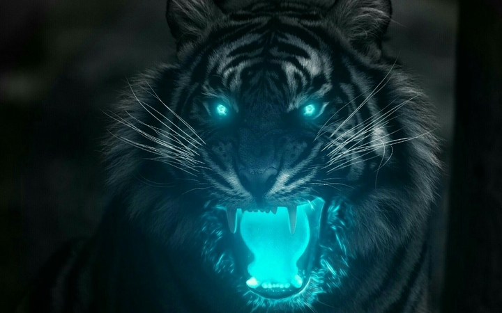 Tiger Wallpaper