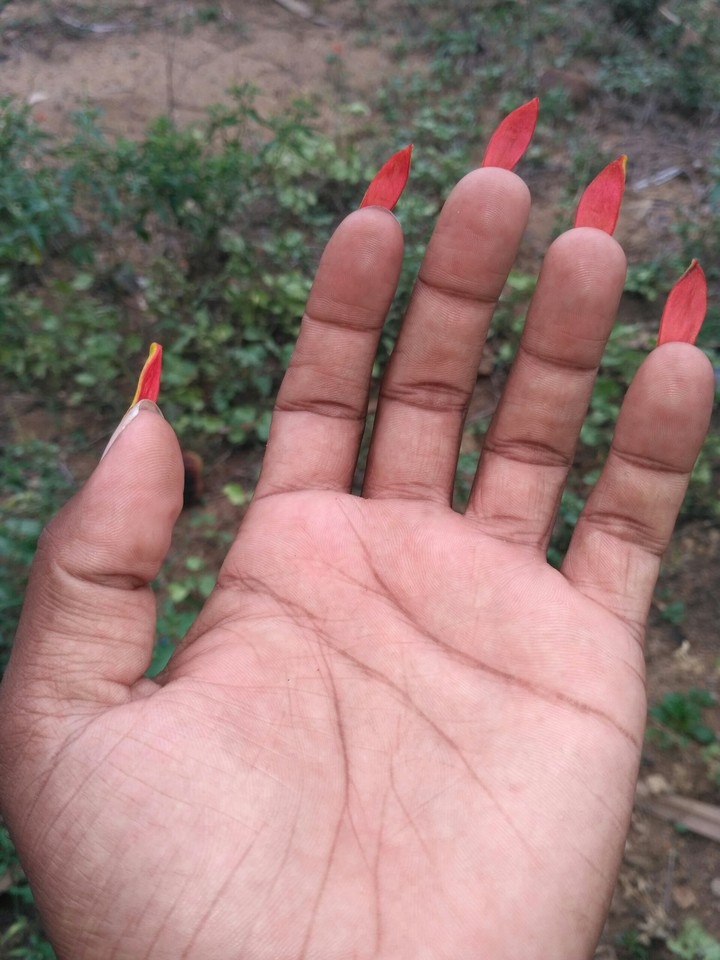 Flower nails