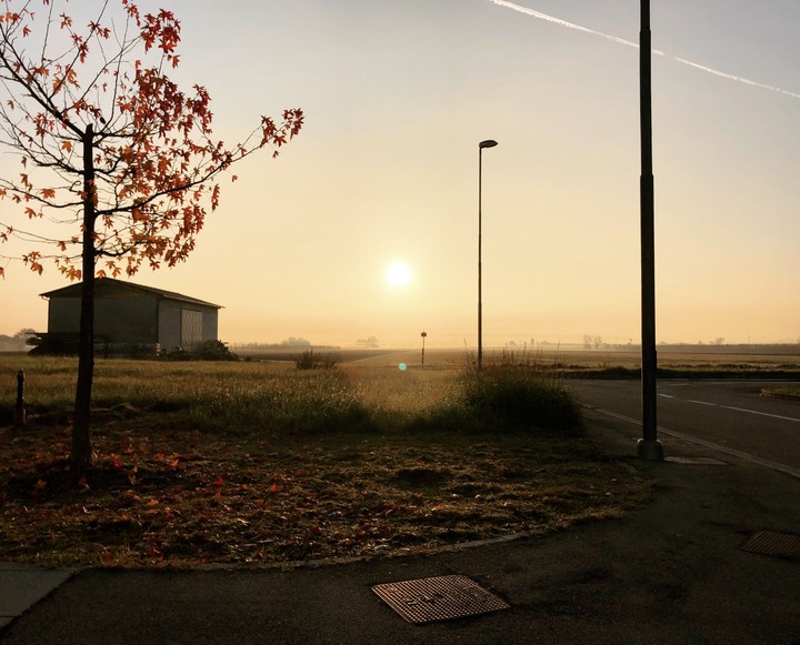 Dawn