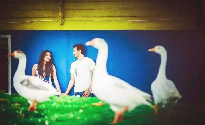 couple