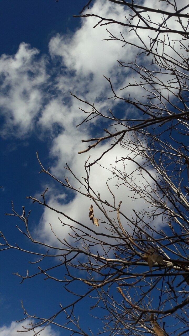 fall