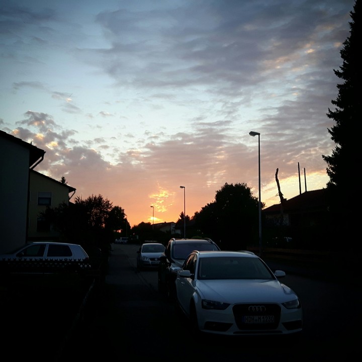 Afternoon.