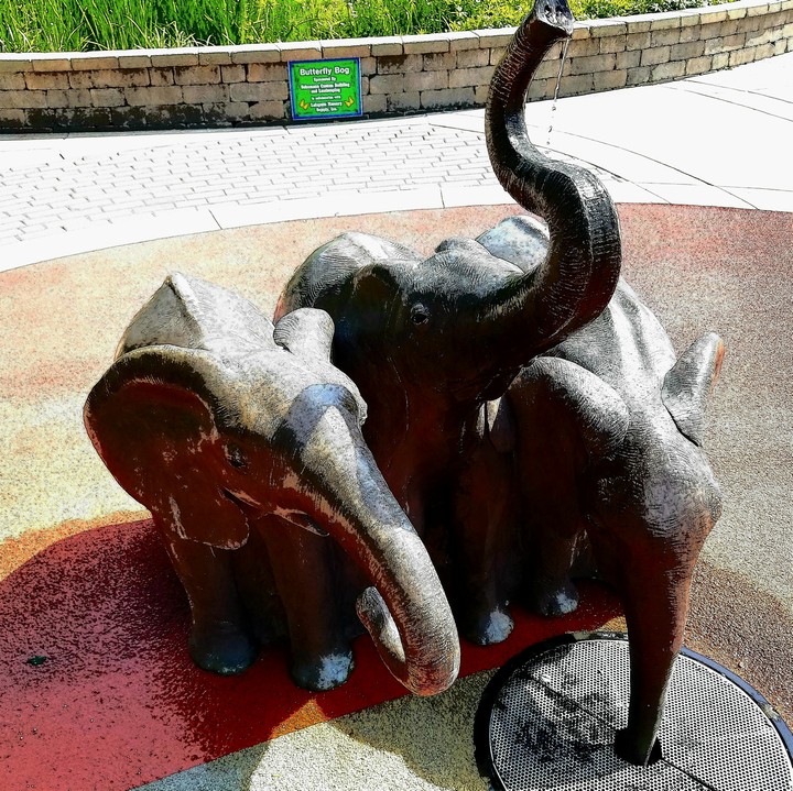 Elephant Statues'