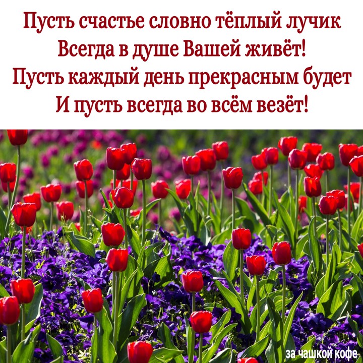 весна
