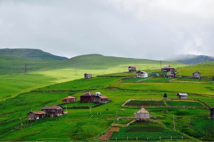 GEORGIA. Beshumi