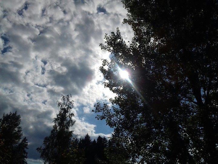 light.
