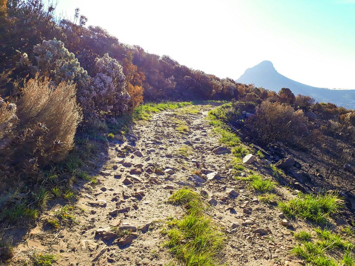 Rugged Path