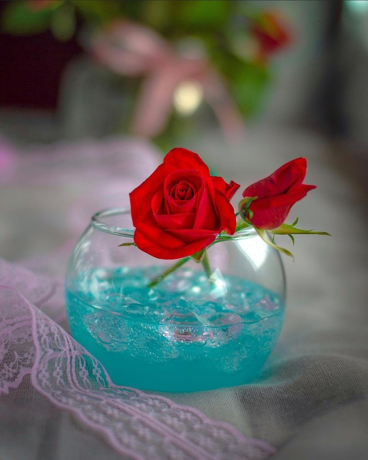Stilllife