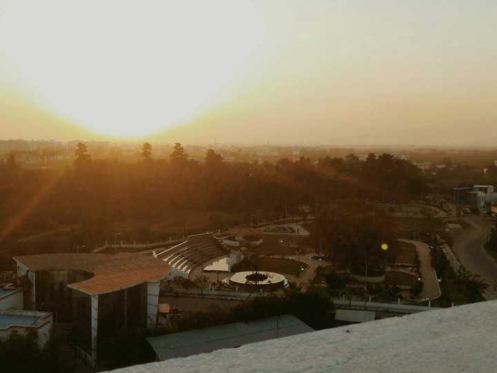 long seee