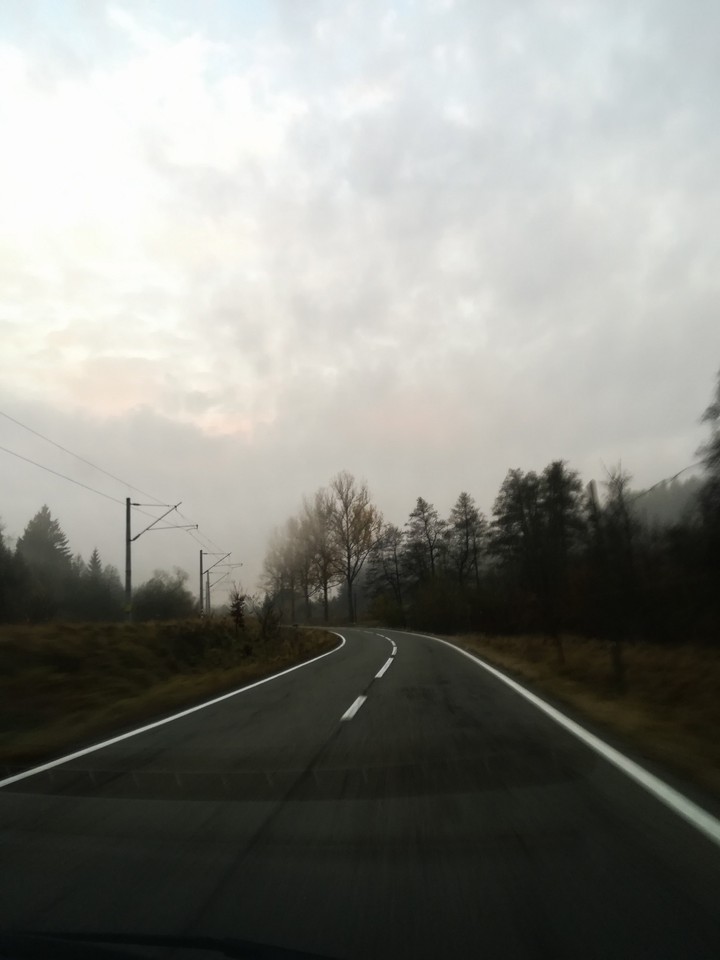 #autumn #road #back to work