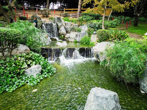 Jardín Japonés cascada