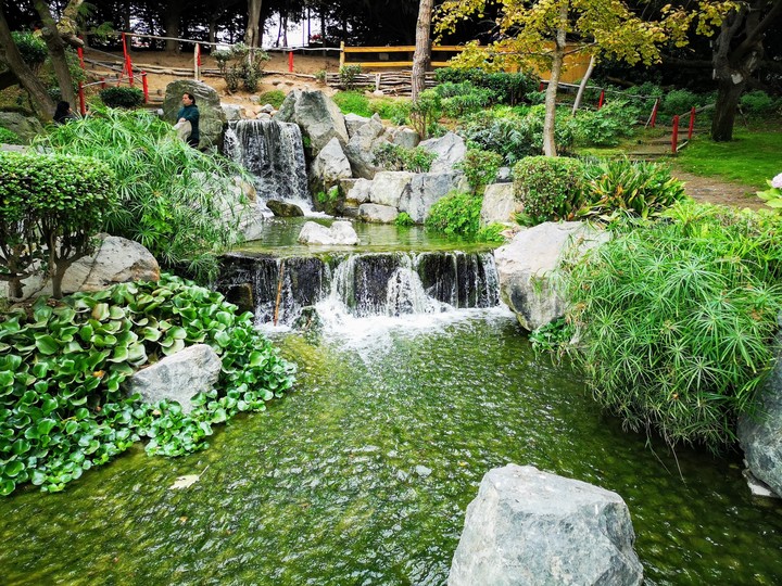 Jardín Japonés cascada