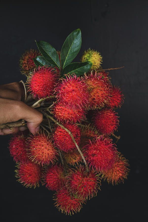 Fruits