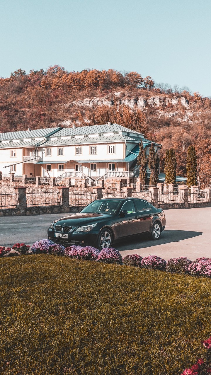 bmv