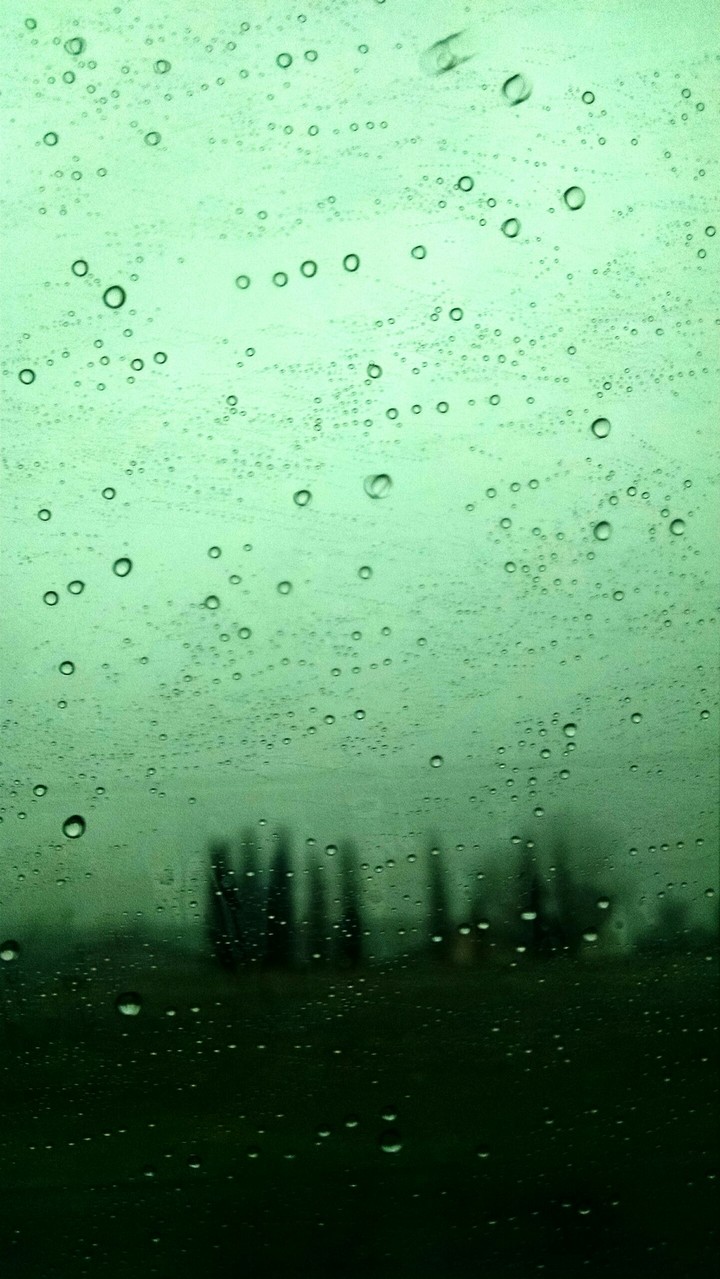 Rainy Day