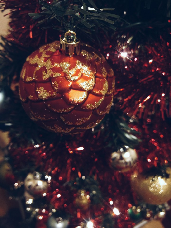 My favorite Christmas Tree Ornament