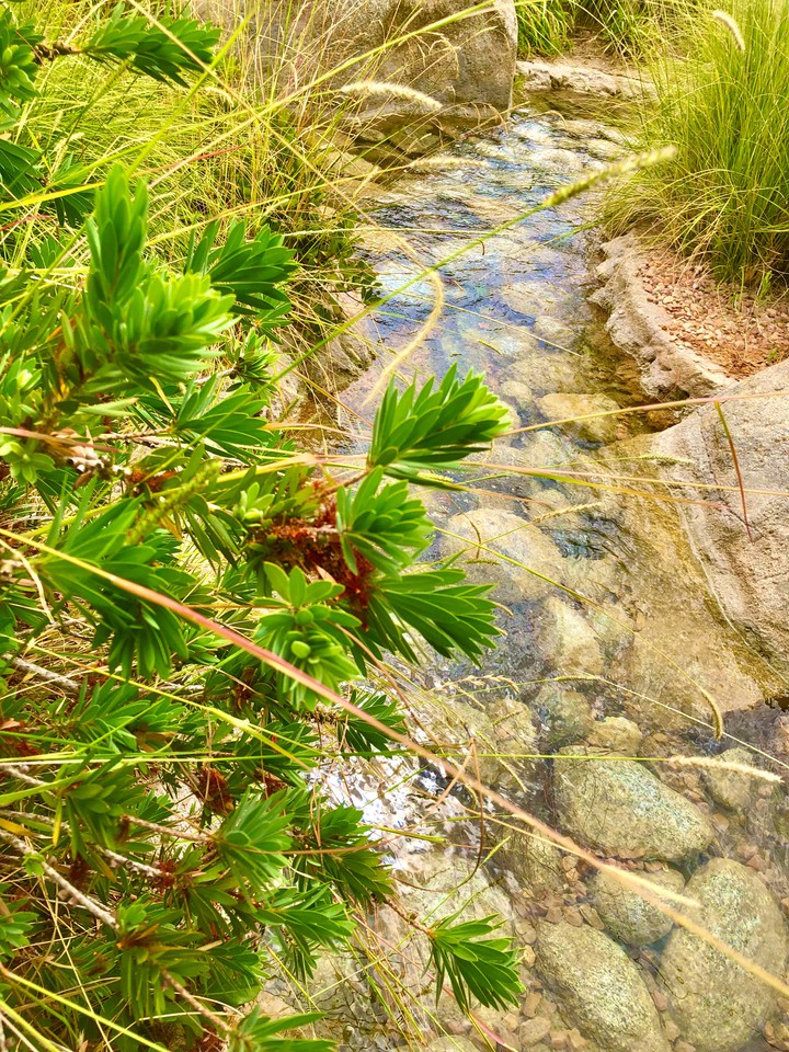 Pequeño Lago
