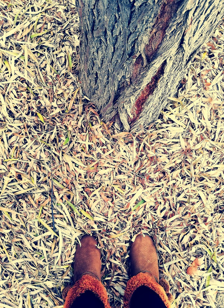 autumn. University of karaj