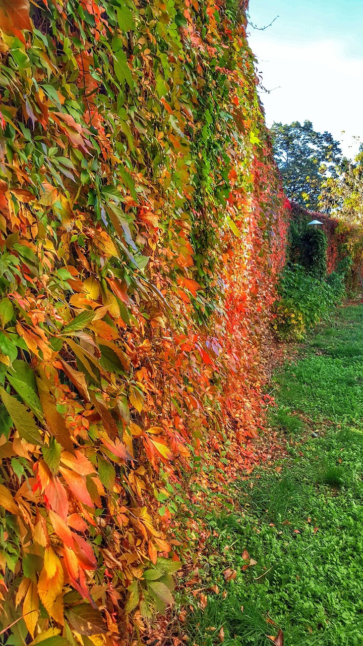 Autumn