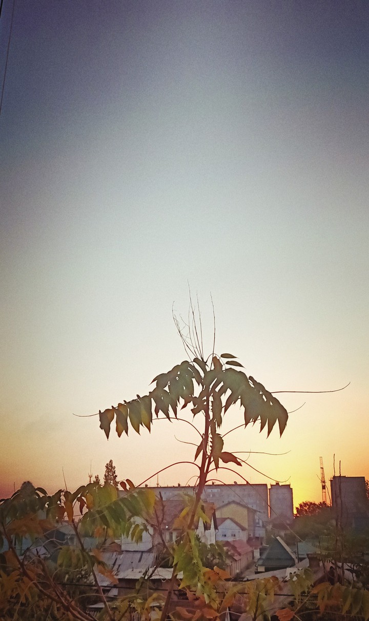 Sunrise...