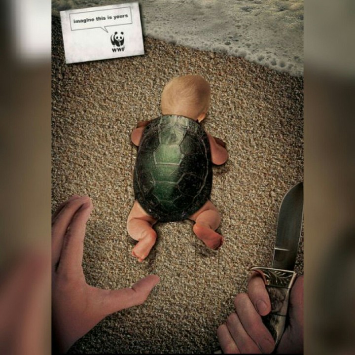Avoid Killing Tortoises