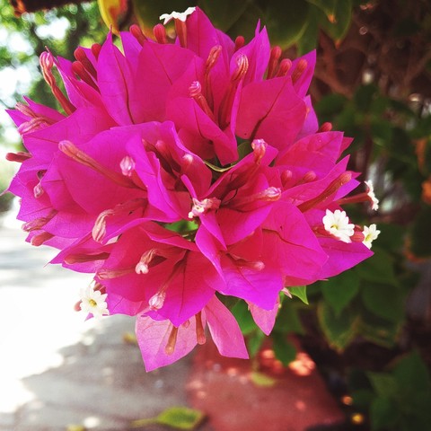 beauty of nature