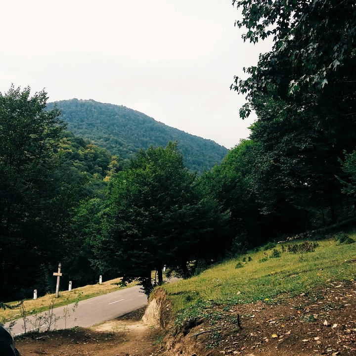 Nature