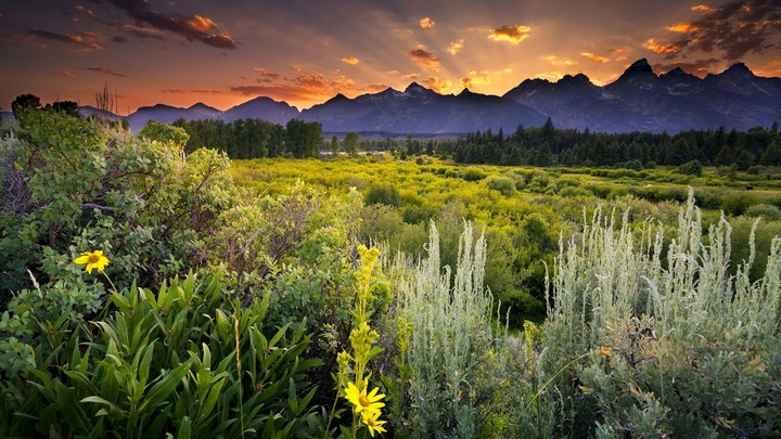 Beautiful nature