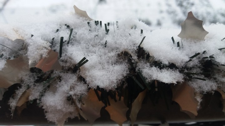 Neve