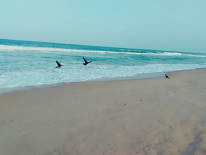 From the sea....
