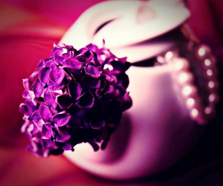Violet!..