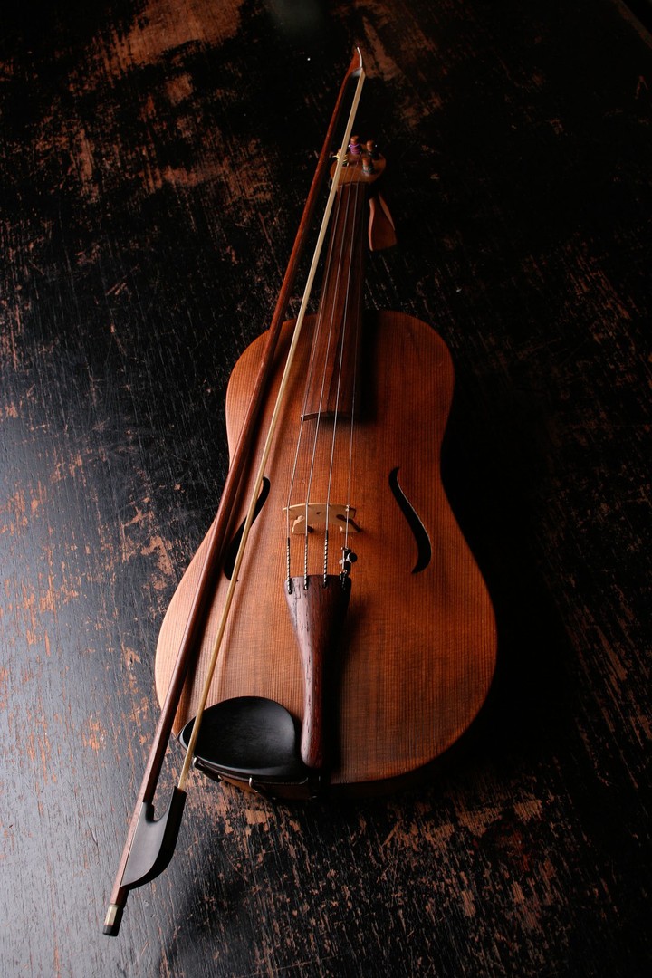 cute violin