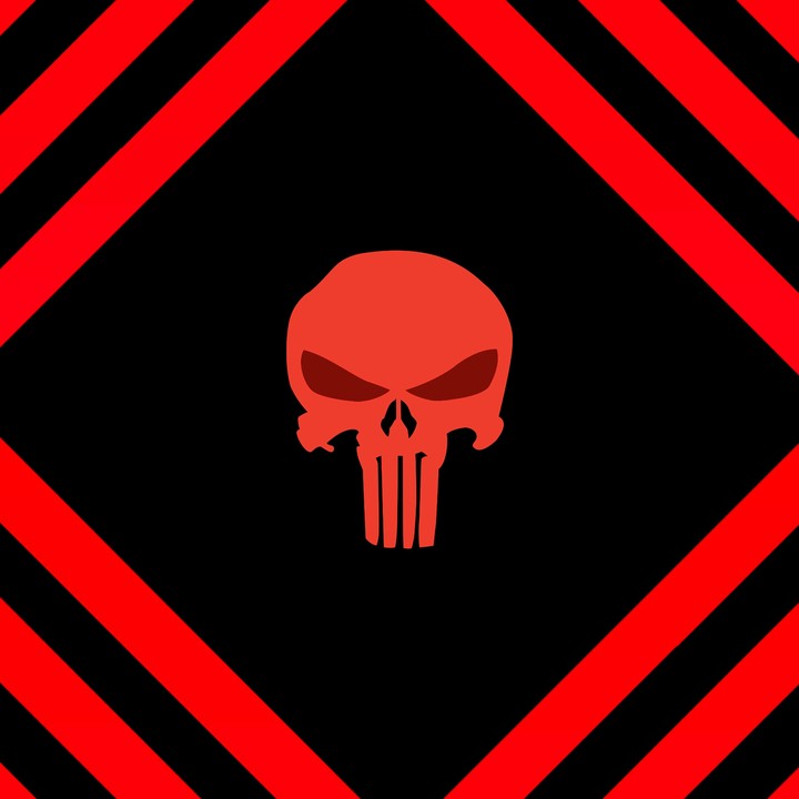 Punisher skull